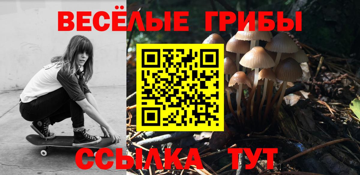 продажа наркотиков  Псилоцибиновые грибы Psilocybe  Вход с VPN  Михайловка 